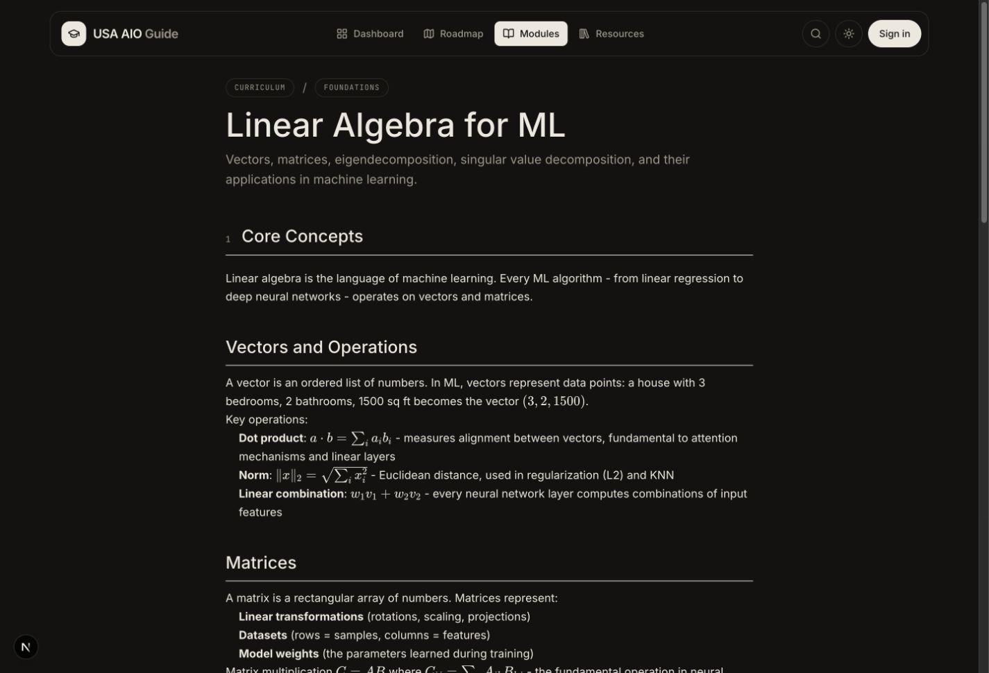 USA AIO Guide lesson page with structured AI curriculum content